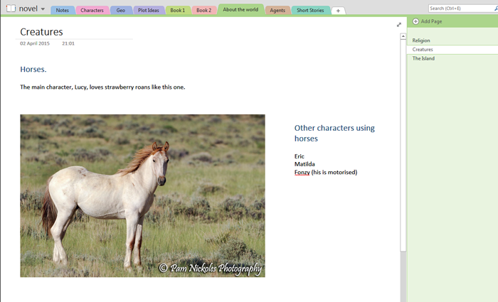 Using Onenote for your Novel